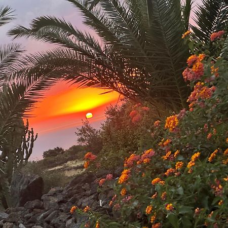 شقة Dammuso Favarelle Da Caty Scauri  المظهر الخارجي الصورة