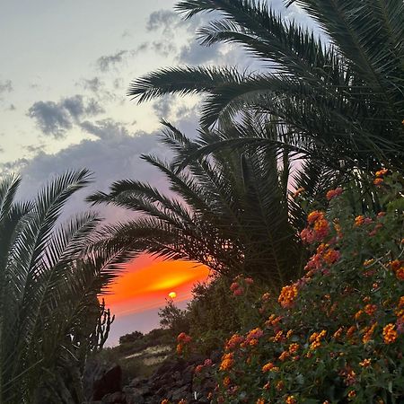 شقة Dammuso Favarelle Da Caty Scauri  المظهر الخارجي الصورة
